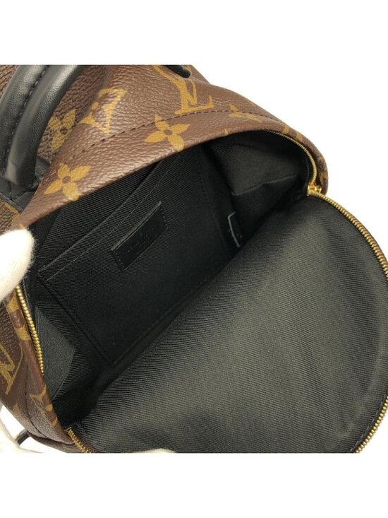 Louis Vuitton Monogram Palm Spring Backpack Mini Sac Brown Marron main image 4